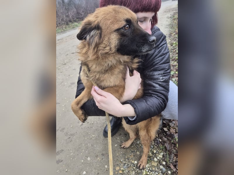 Ryu ein absoluter Engelchen