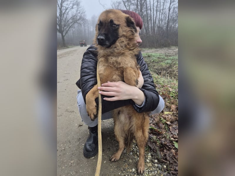 Ryu ein absoluter Engelchen