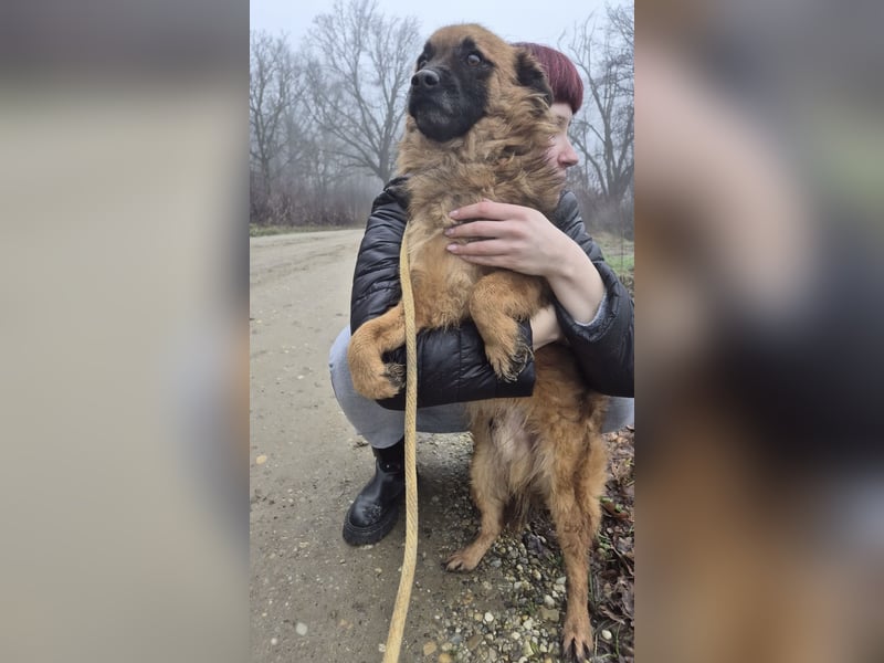 Ryu ein absoluter Engelchen