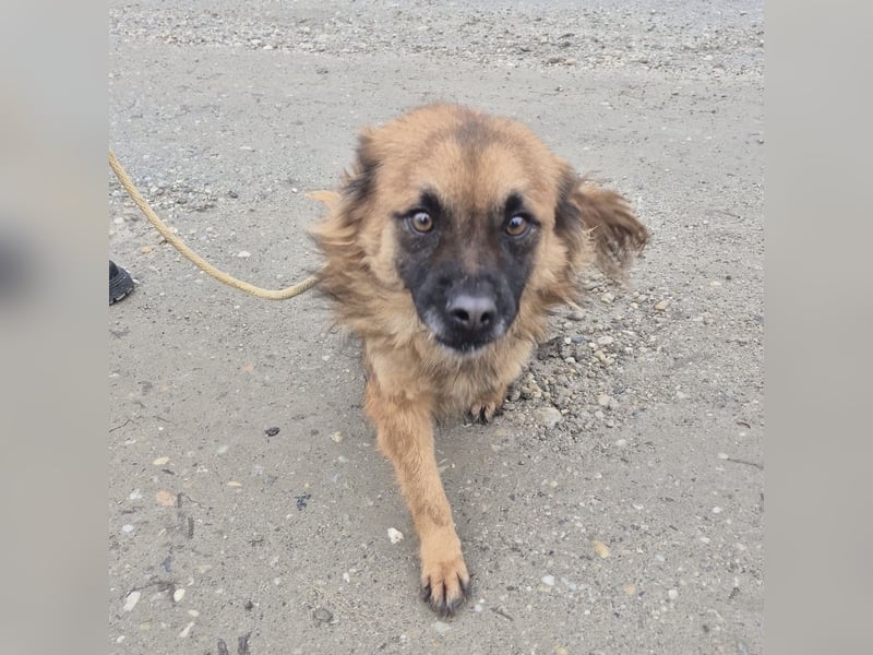 Ryu ein absoluter Engelchen