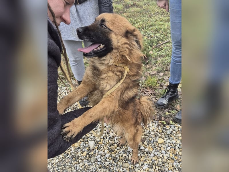 Ryu ein absoluter Engelchen