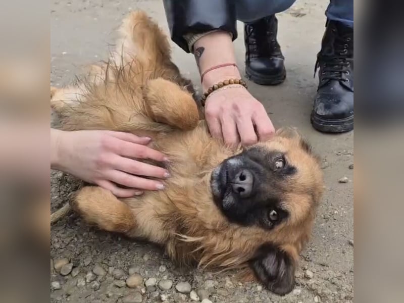 Ryu ein absoluter Engelchen