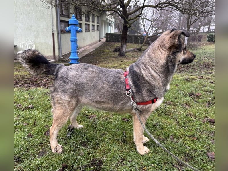 Tika - absolut wundervoll