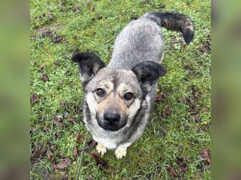 Tika - absolut wundervoll