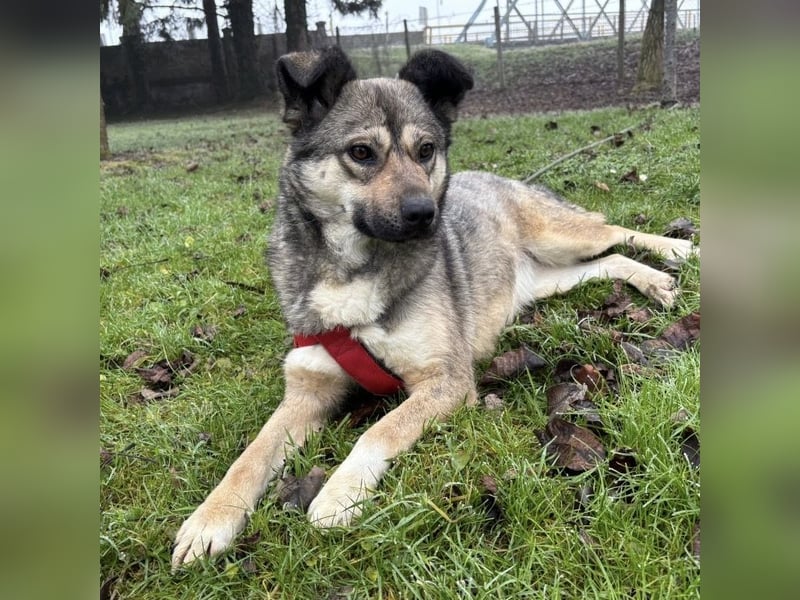 Tika - absolut wundervoll