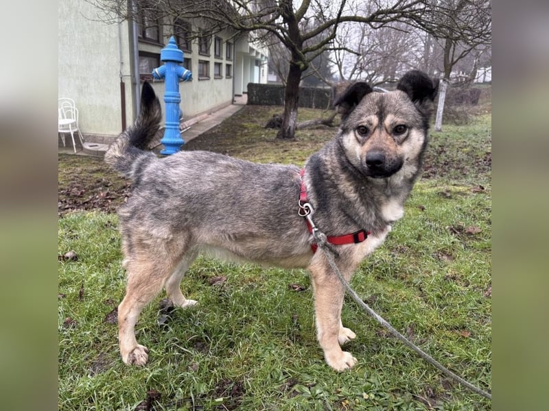 Tika - absolut wundervoll