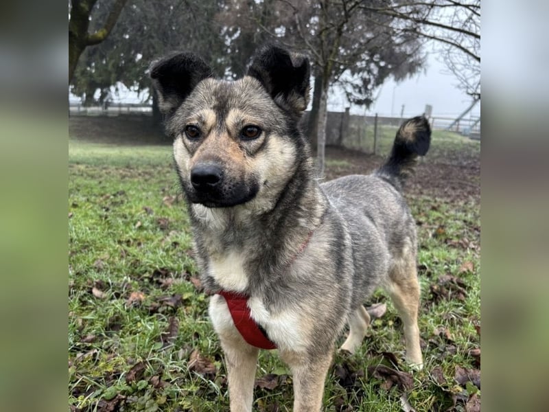 Tika - absolut wundervoll