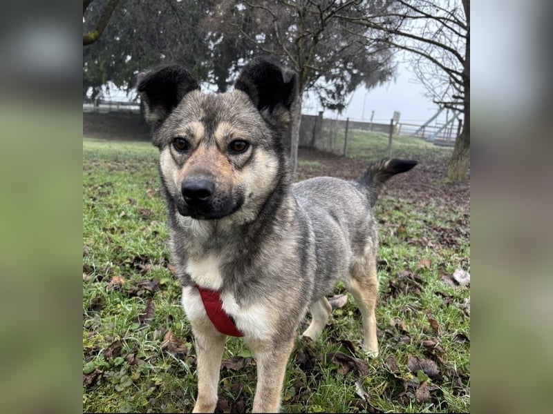 Tika - absolut wundervoll