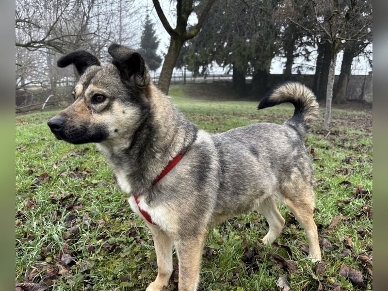 Tika - absolut wundervoll