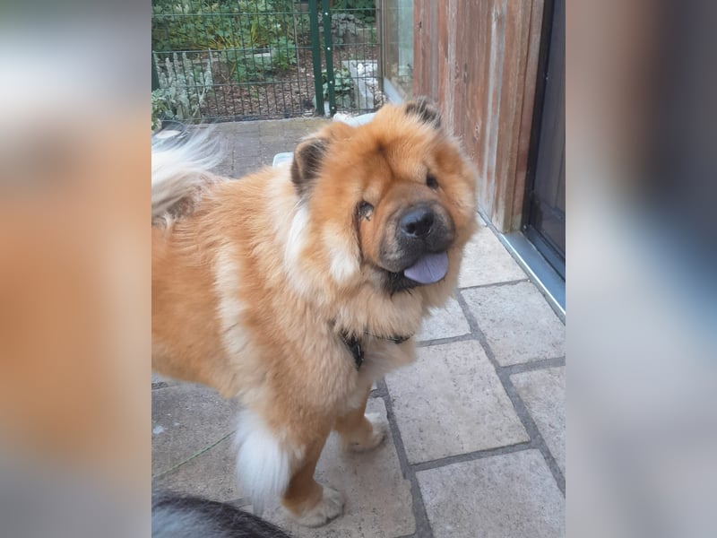 Mayka auf PS in Laer