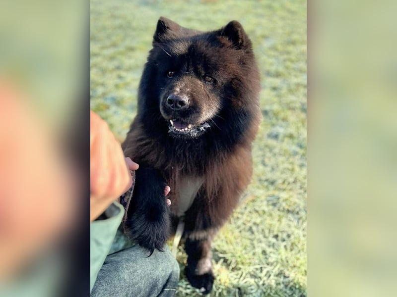 Teddy - ist ein Gartenfan