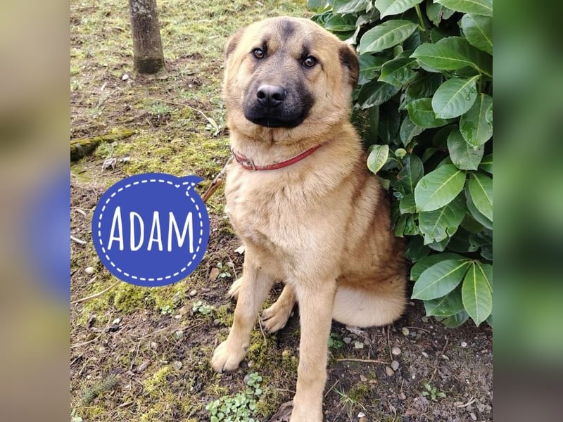 Adam der wundervolle ❤️