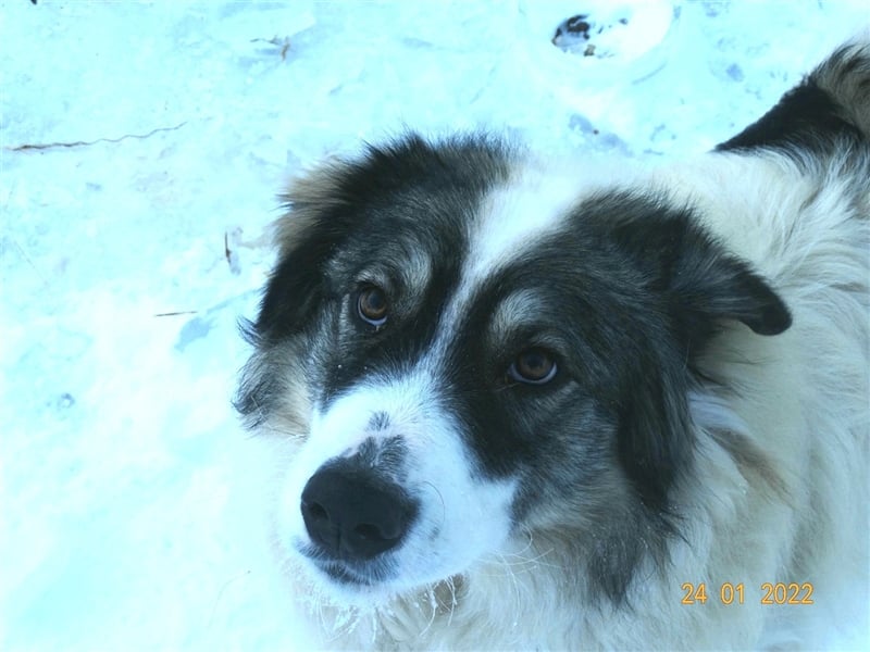 Bärchen - Teenager mit Flausen im Kopf sucht Spielgefährten
