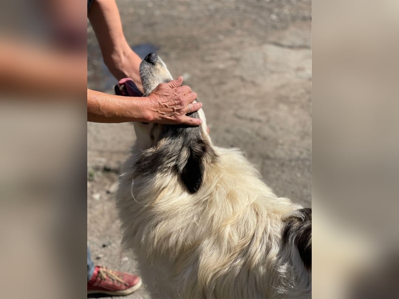 Bärchen - Teenager mit Flausen im Kopf sucht Spielgefährten