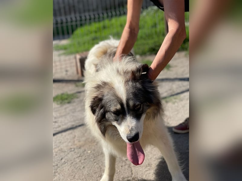 Bärchen - Teenager mit Flausen im Kopf sucht Spielgefährten