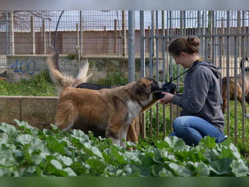 liebste Candy wünscht sich ihr Zuhause für immer