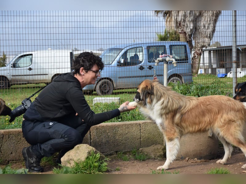 liebste Candy wünscht sich ihr Zuhause für immer