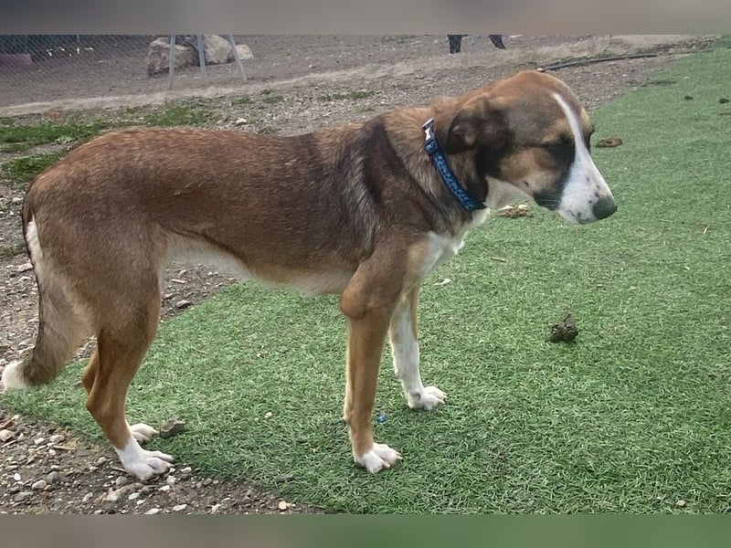 KETTY wünscht sich ihr eigenes Zuhause