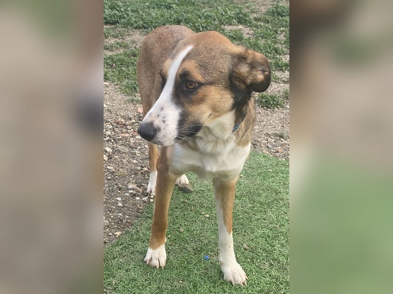 KETTY wünscht sich ihr eigenes Zuhause