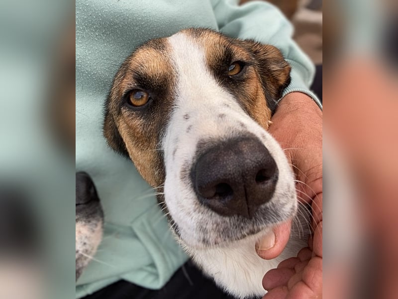 Ketty wünscht sich ihr eigenes Zuhause