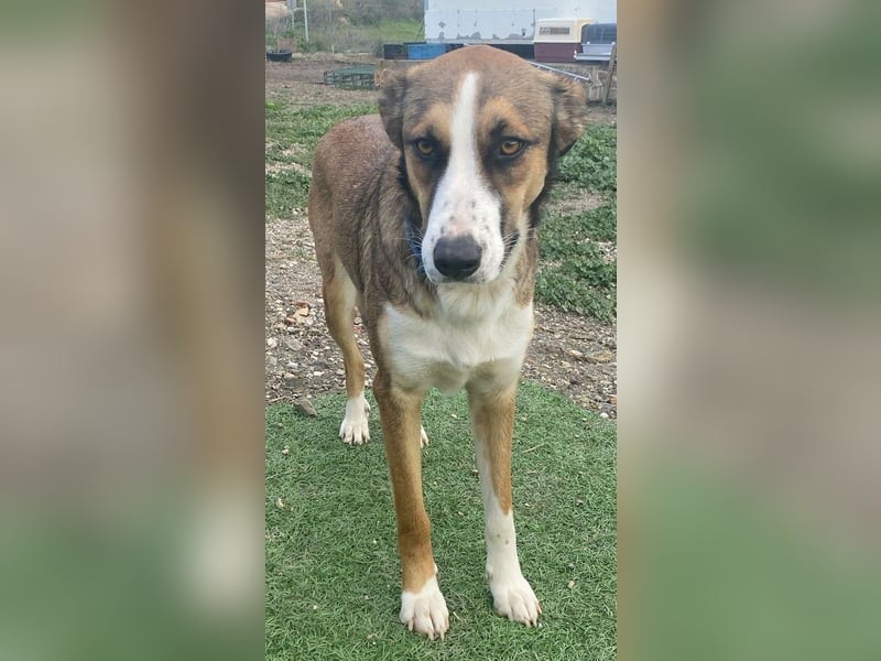 Ketty wünscht sich ihr eigenes Zuhause