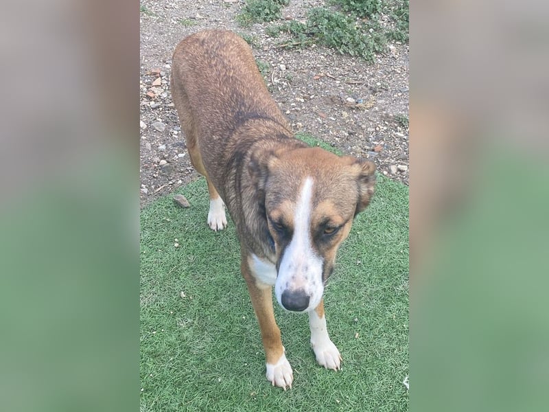 Ketty sucht ihr eigenes Körbchen