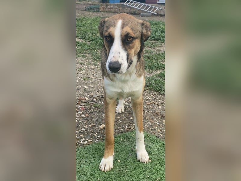 Ketty wünscht sich ihr eigenes Zuhause