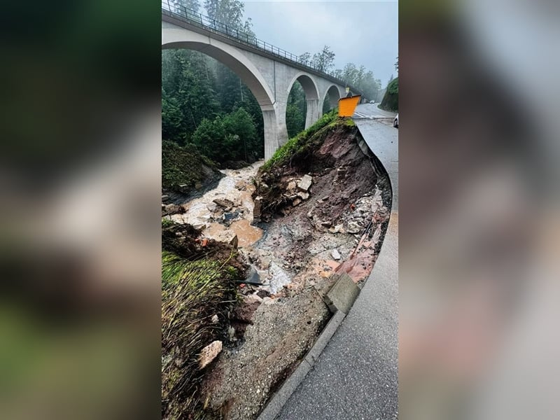 Langhaarcollie Welpen in Kürze abzugeben