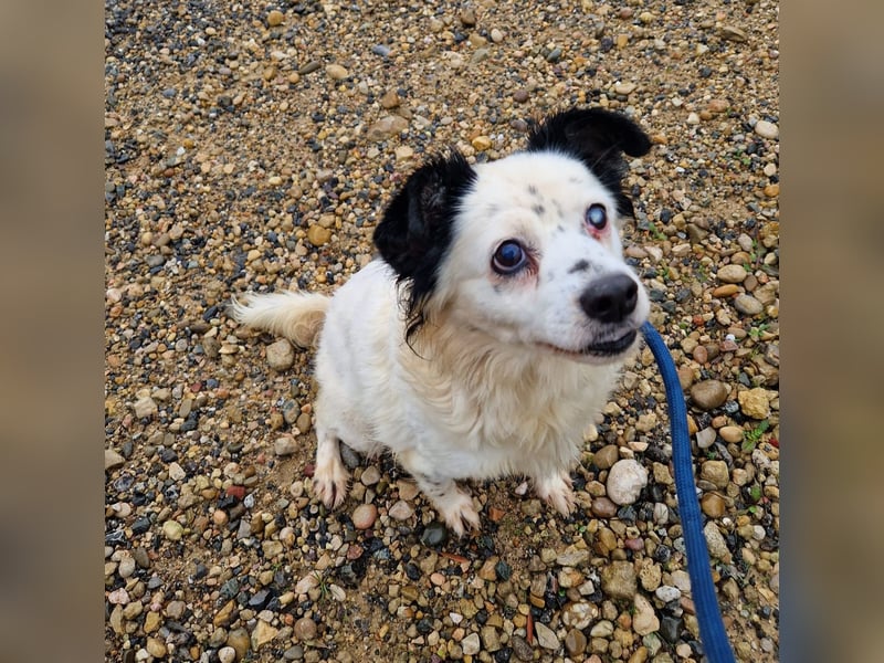 Seniorin MARIELENA - NOTFALL