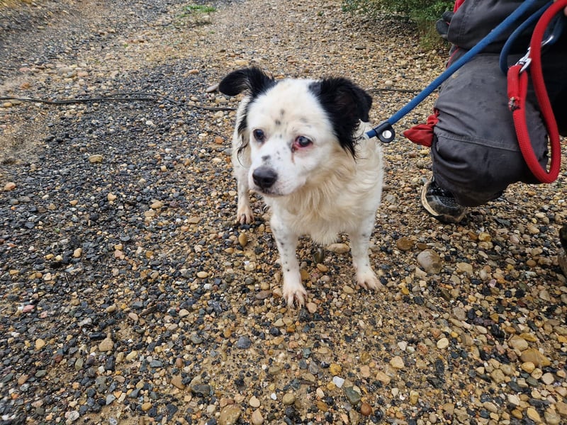 Seniorin MARIELENA - NOTFALL