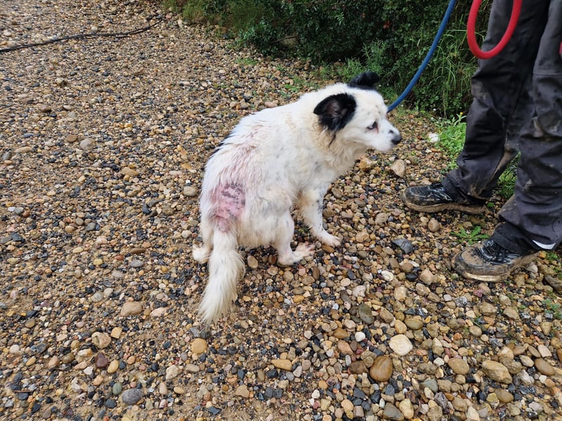 Seniorin MARIELENA - NOTFALL