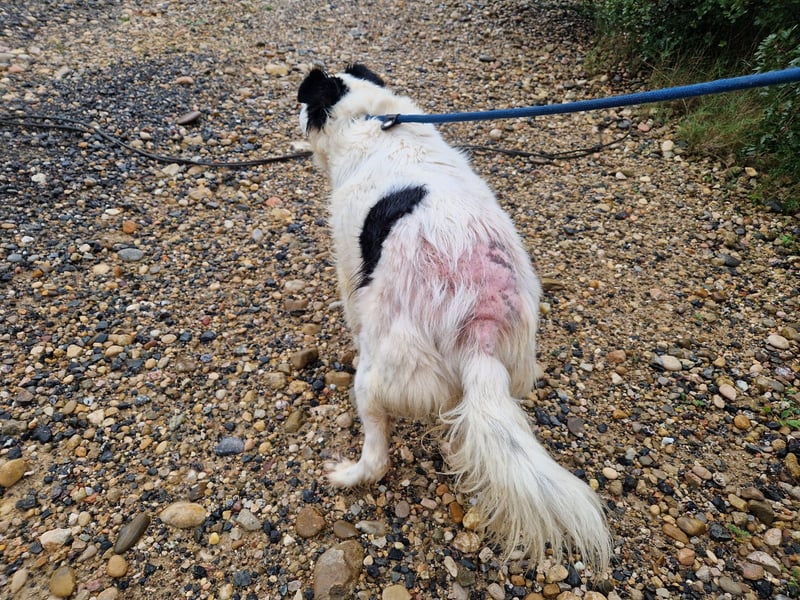 Seniorin MARIELENA - NOTFALL