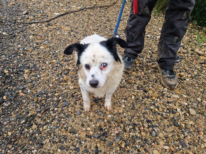 Seniorin MARIELENA - NOTFALL