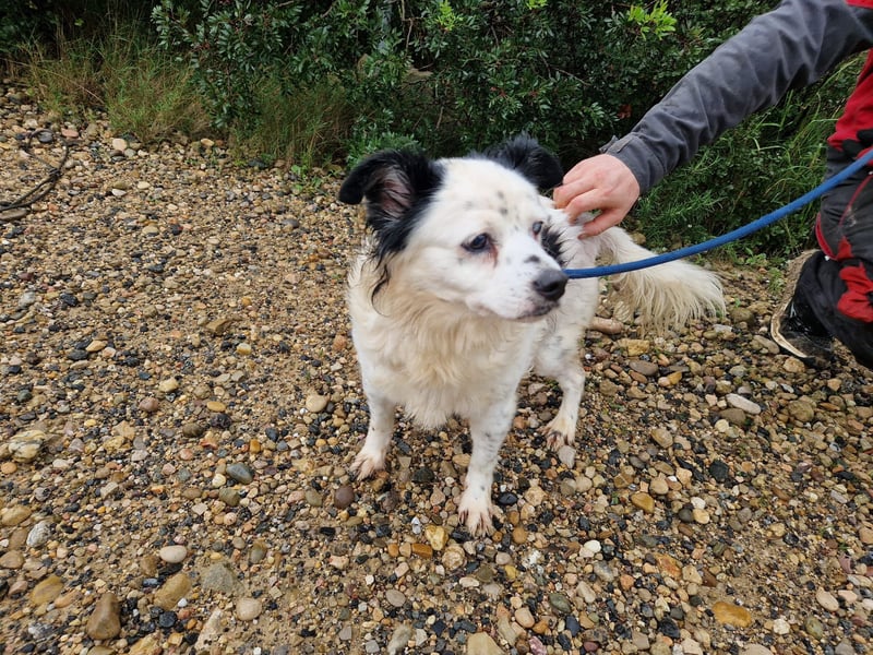 Seniorin MARIELENA - NOTFALL