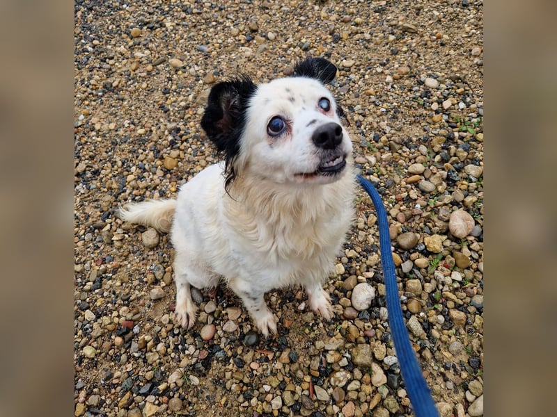 Seniorin MARIELENA - NOTFALL