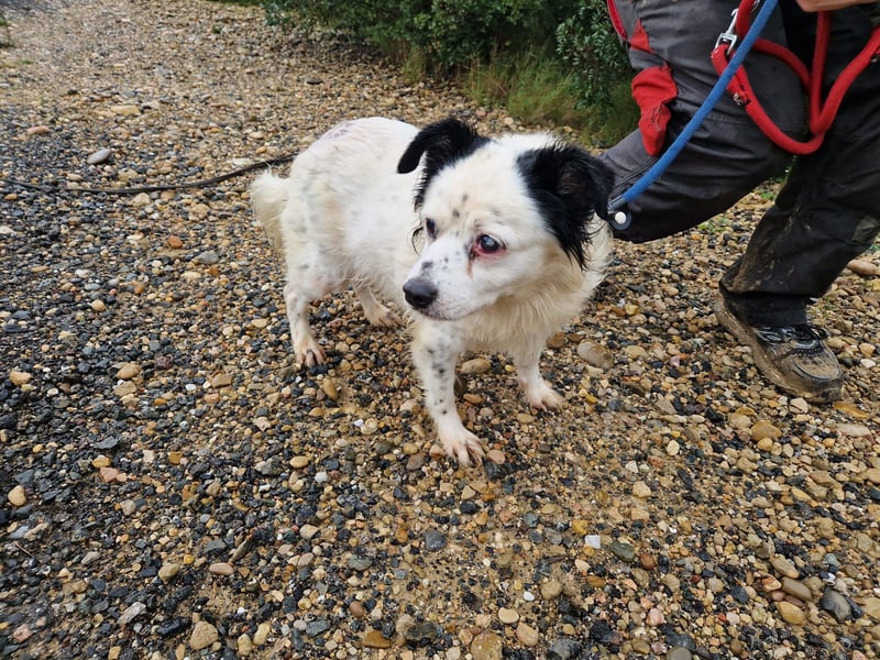 Seniorin MARIELENA - NOTFALL