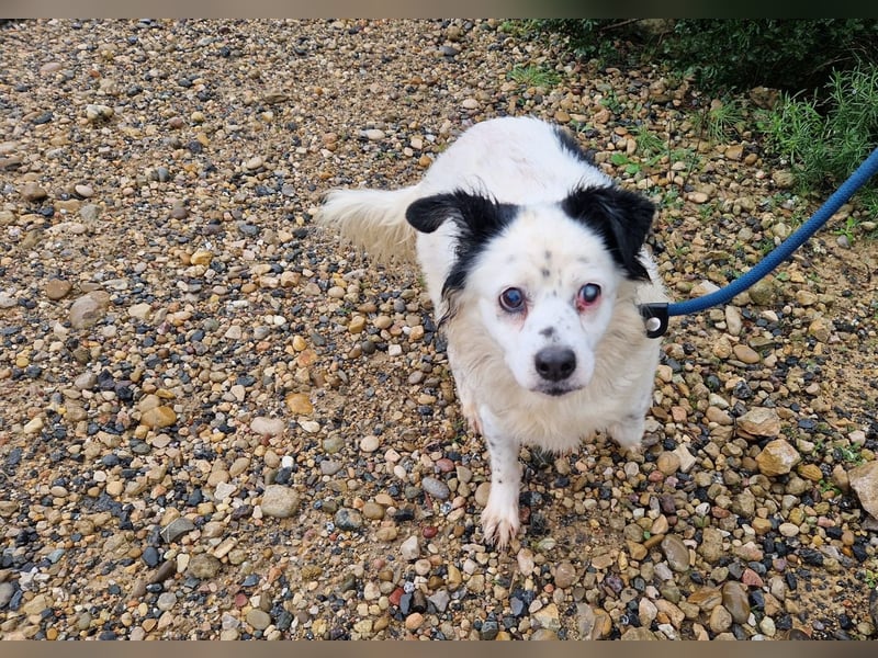 Seniorin MARIELENA - NOTFALL