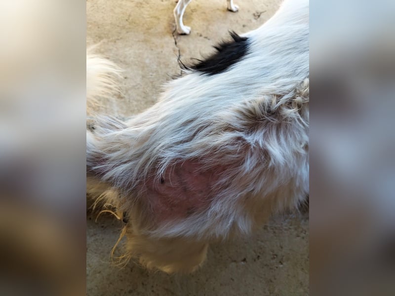 Seniorin MARIELENA - NOTFALL