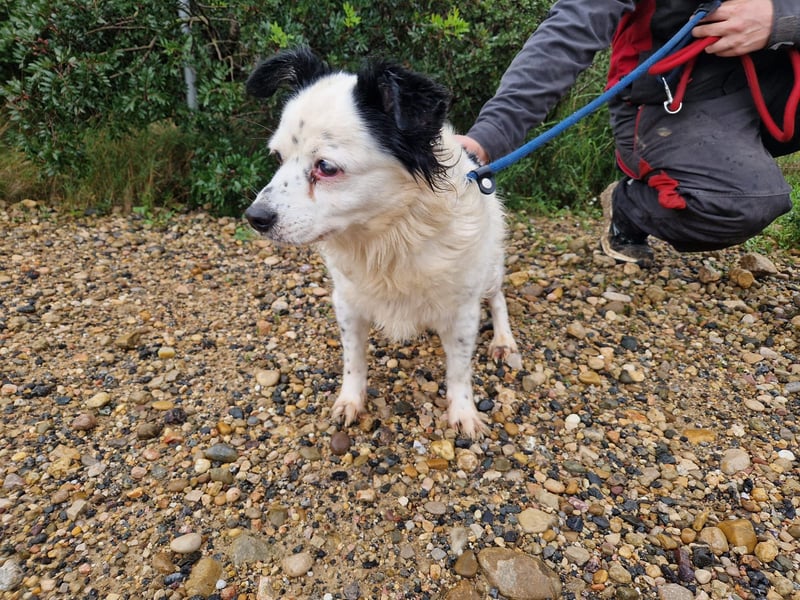 Seniorin MARIELENA - NOTFALL