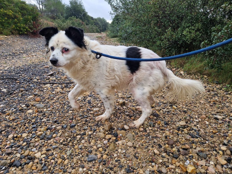 Seniorin MARIELENA - NOTFALL