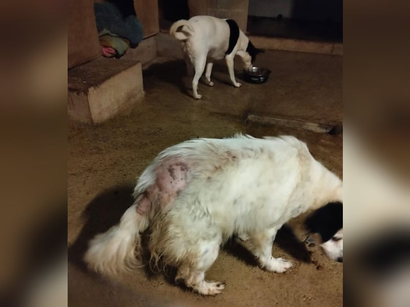 Seniorin MARIELENA - NOTFALL