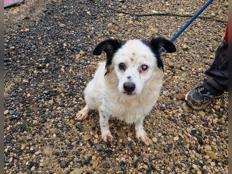 Seniorin MARIELENA - NOTFALL