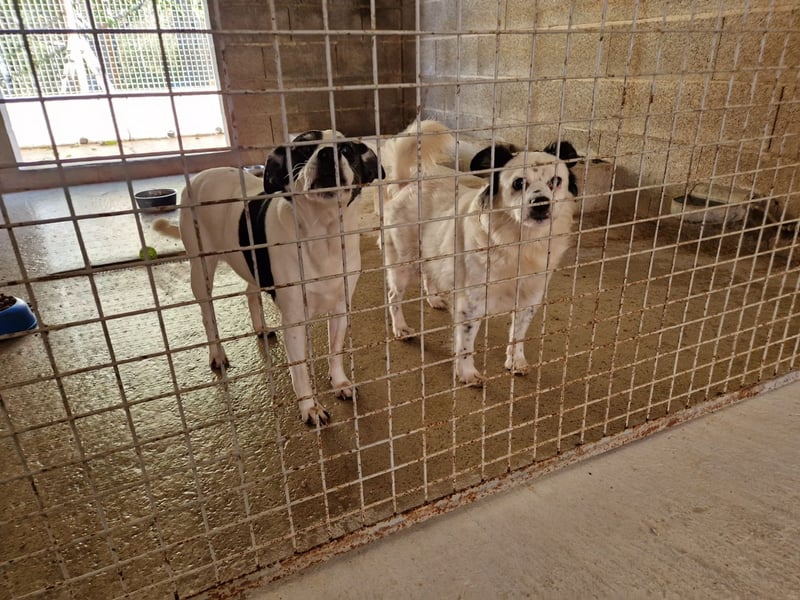 Seniorin MARIELENA - NOTFALL