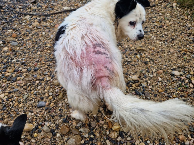 Seniorin MARIELENA - NOTFALL