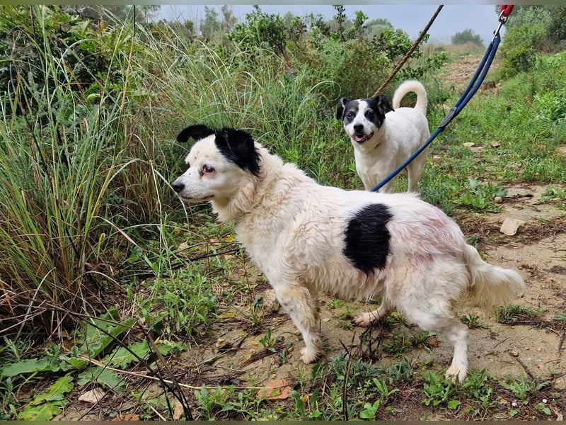 Seniorin MARIELENA - NOTFALL