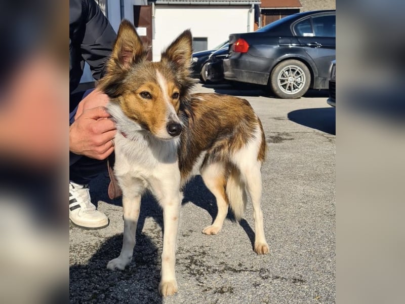 Uma ein agiles Mädchen