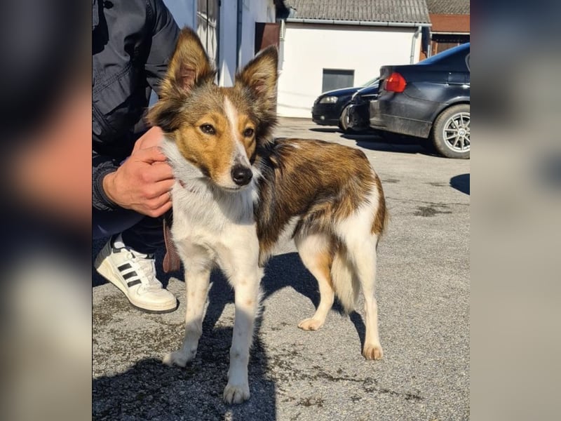 Uma ein agiles Mädchen