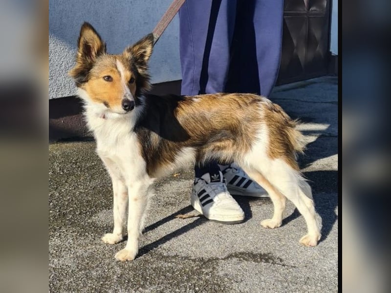 Uma ein agiles Mädchen