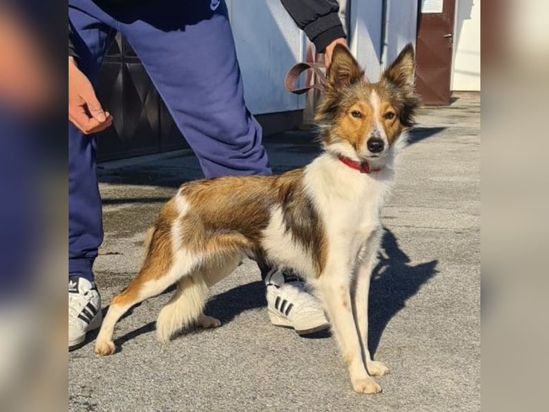 Uma ein agiles Mädchen