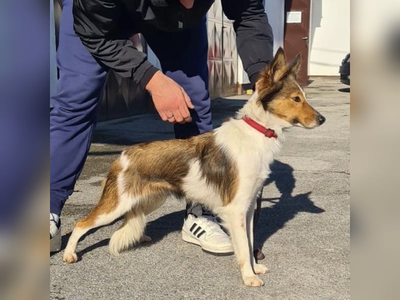 Uma ein agiles Mädchen